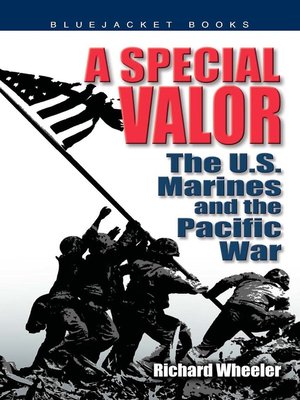cover image of A Special Valor